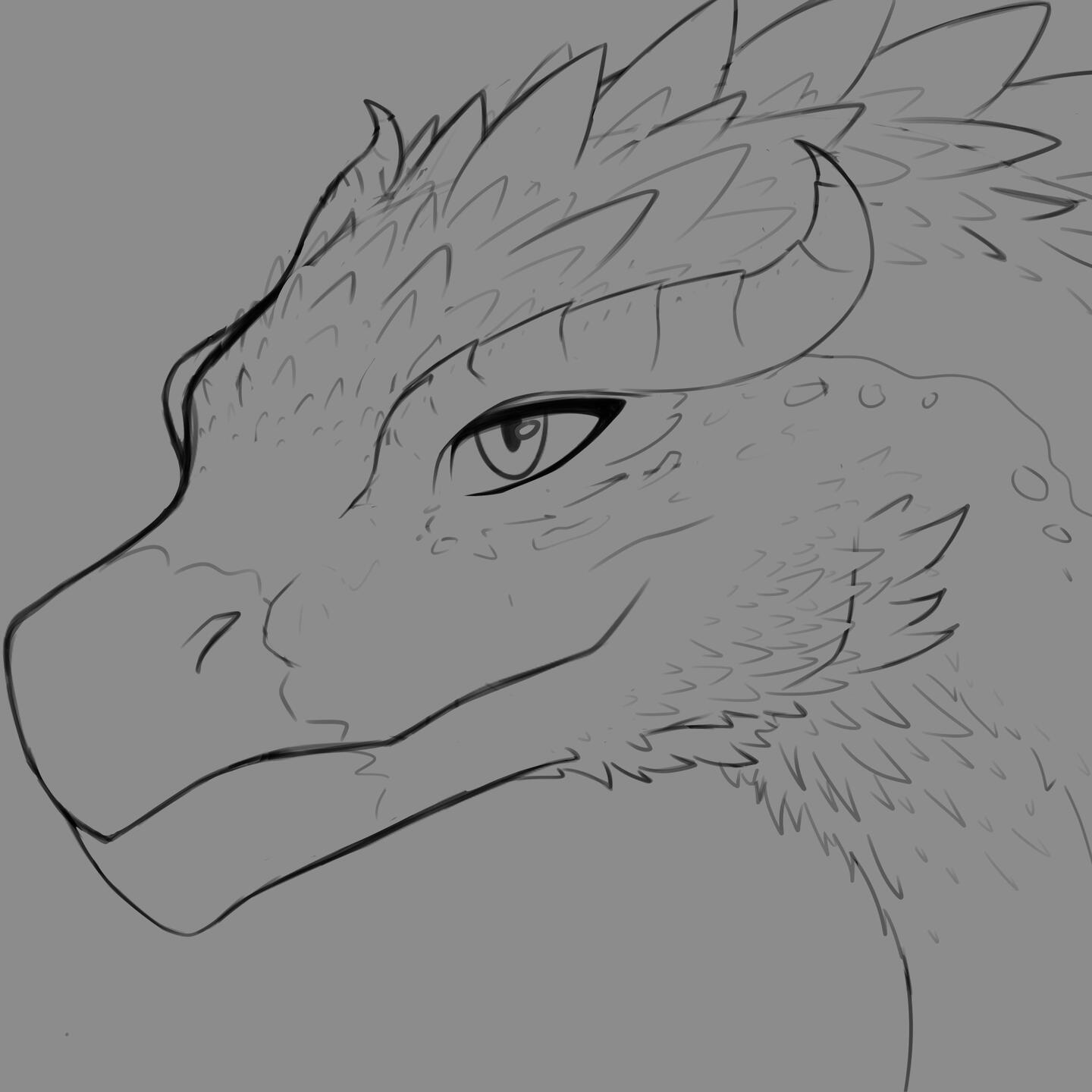 sketch