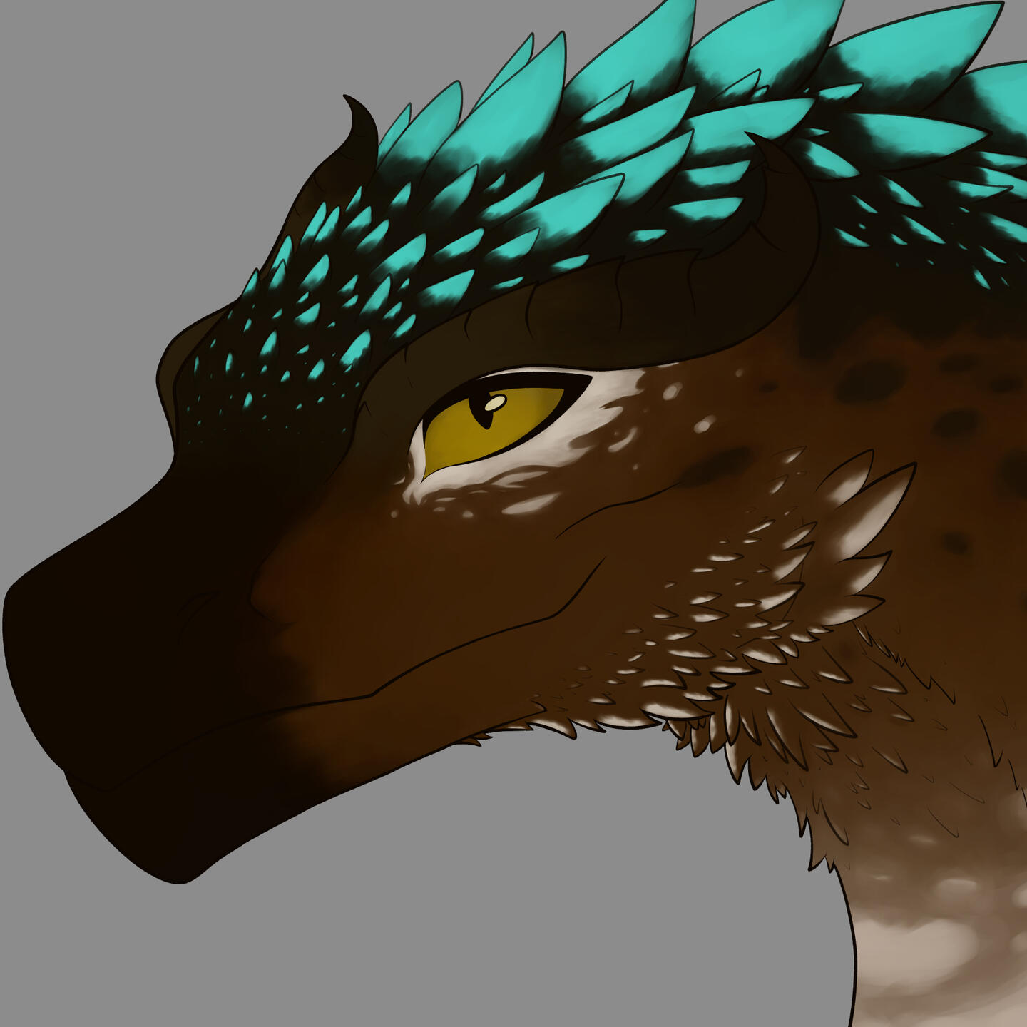 colored lineart
